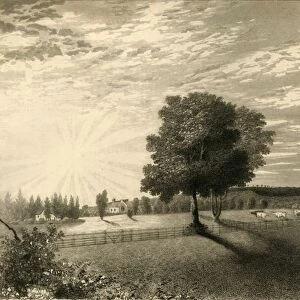 Sennicots, 1835. Creator: Henry Alexander Ogg