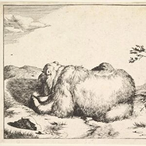 from The Set of The Bears, ca. 1664. Creator: Marcus de Bye