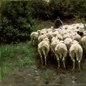 Sheep in the Forest, 19th century. Artist: Anton Mauve