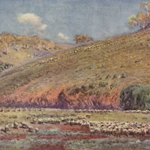 A Sheep-Run, 1923. Creator: Unknown