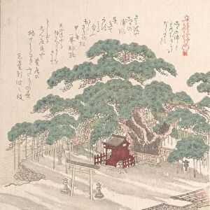 Shrine Under a Big Pine Tree, 19th century. Creator: Kubo Shunman