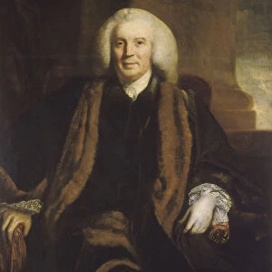 Sir Thomas Harrison, Chamberlain of London, 1758. Artist: Sir Joshua Reynolds
