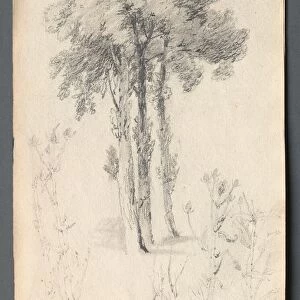 Sketchbook: Tree Study, 1814. Creator: Samuel Prout (British, 1783-1852)