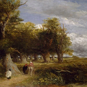 The Skirts of the Forest, 1856. Creator: David Cox the elder
