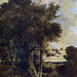 On the Skirts of the Forest, c1788-1821, (1912). Artist: John Crome