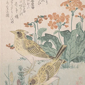 Skylarks and Primroses... ca. 1805-10. Creator: Kubo Shunman
