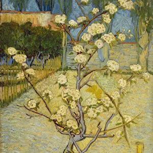 Small pear tree in blossom, 1888. Artist: Gogh, Vincent, van (1853-1890)