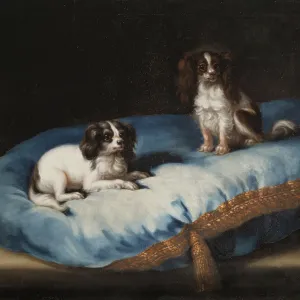 Two smaller dogs, c17th century. Creator: David Klocker Ehrenstrahl