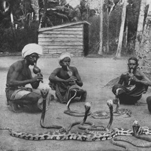 Snake Charmers, c1890, (1910). Artist: Alfred William Amandus Plate