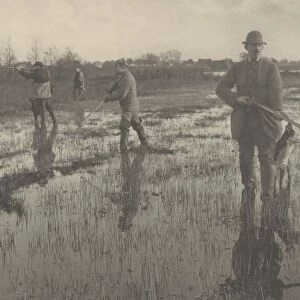 Snipe-Shooting, 1886. Creators: Dr Peter Henry Emerson, Thomas Frederick Goodall