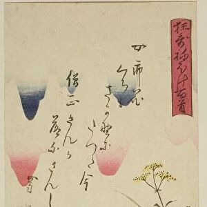 Sojo Henjo, from the series "One Hundred Satirical Poems (Kyoka neboke hyakushu)", 19th century. Creator: Ando Hiroshige. Sojo Henjo, from the series "One Hundred Satirical Poems (Kyoka neboke hyakushu)", 19th century