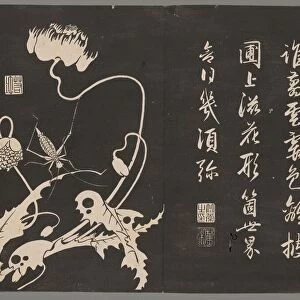 Soken sekisatsu, 1767. Creator: Ito Jakuchu