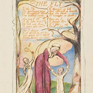 Songs of Innocence and of Experience: The Fly, ca. 1825. Creator: William Blake