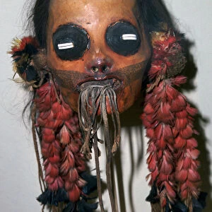 South Native American boiled head