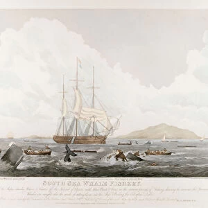 South Sea Whale Fishery, 1825