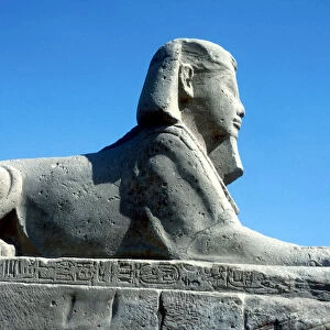 A sphinx from the avenue of Sphinxes, Temple sacred to Amun Mut & Khons, Luxor, Egypt, c370 BC