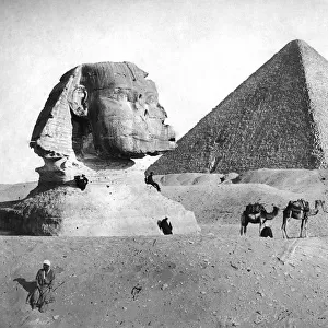 The Sphinx and Pyramid at Giza, Egypt, c1882