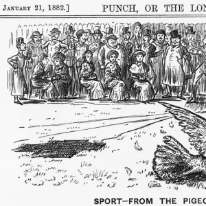 Sport from the Pigeons Point of View, 1882