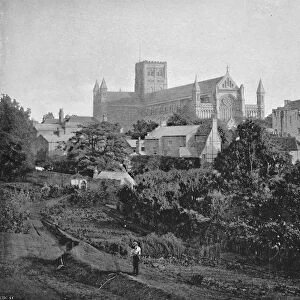 St. Albans Cathedral, c1896. Artist: Chester Vaughan