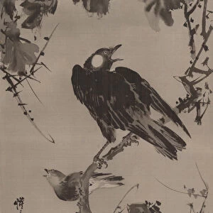 Starlings on a Branch, ca. 1887. Creator: Kawanabe Kyosai