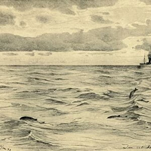 Steamship on the Indian Ocean, 1898. Creator: Christian Wilhelm Allers