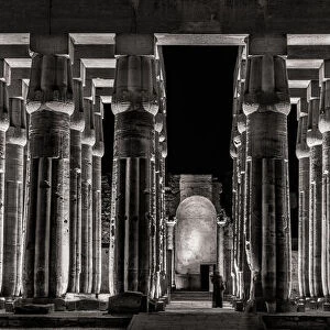 Stoic Columns of Luxor, Egypt. Creator: Viet Chu