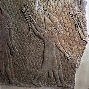 Stone panels from northern Iraq, Neo-Assyrian, c700-c681 BC