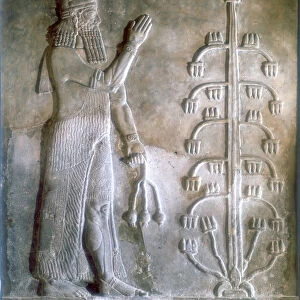 Stone relief of Sargon I standing before a tree of life, 24th-23rd century BC