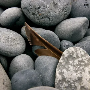 Stones, Iceland B. Creator: Tom Artin