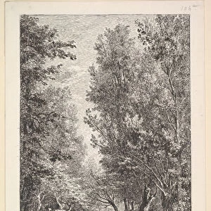 A Stream in the Mondois Valley, 1835-78. Creator: Charles Francois Daubigny