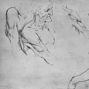Two Studies of the Upper Part of an Old Man and Two Studies of Arms, c1480 (1945). Artist: Leonardo da Vinci