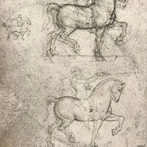 Study for the Sforza Monument, c1482-c1499 (1883). Artist: Leonardo da Vinci