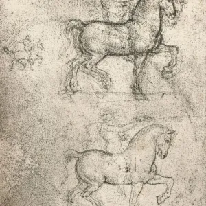 Study for the Sforza Monument, c1482-c1499 (1883). Artist: Leonardo da Vinci Study for the Sforza Monument, c1482-c1499 (1883). Artist: Leonardo da Vinci