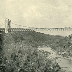 Suspension Bridge, North Sydney, 1901. Creator: Unknown