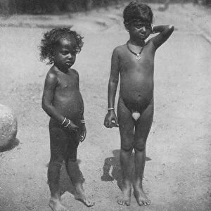 Tamil Estate Children, c1890, (1910). Artist: Alfred William Amandus Plate