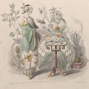 The& Cafe, from Les Fleurs Animees, 1847