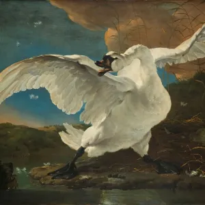 The Threatened Swan, c.1650. Creator: Jan Asselijin