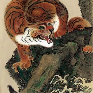 Tiger (from life), 1803 (1886)