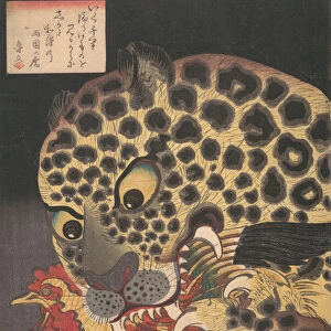 The Tiger of Ryokoku, from the series True Scenes by Hirokage, 8th month