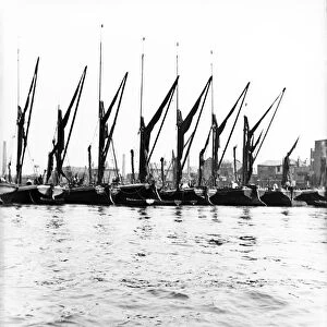 Topsail barges at anchor on the Thames, some with topsails lowered, London, c1905