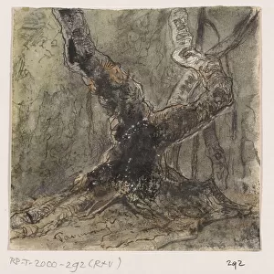 Tree, 1861. Creator: Johannes Tavenraat