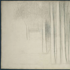 Tree Trunks (study for La Grande Jatte), 1884. Creator: Georges-Pierre Seurat