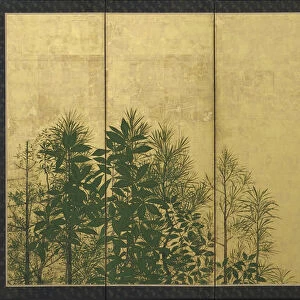 Trees, Early 17th cen Artist: Master of I-nen Seal (active 1600-1630)