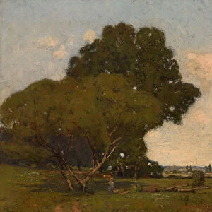 The Trees, Early Afternoon, France, ca. 1905. Creator: William A. Harper