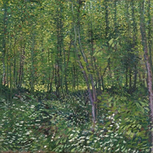 Trees and underwood, 1887. Artist: Gogh, Vincent, van (1853-1890)