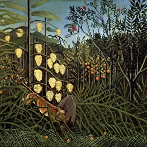 In a tropical Forest. Struggle between Tiger and Bull, 1908-1909. Artist: Henri Rousseau