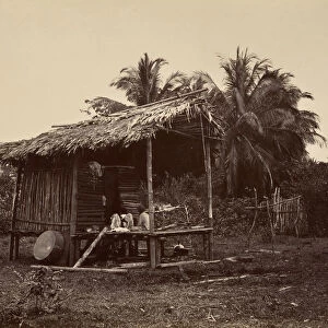 Tropical Scenery, Native Hut, Turbo, 1871. Creator: John Moran
