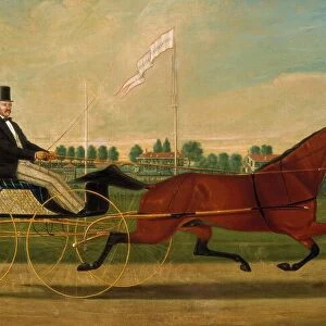 The Trotter, c. 1860. Creator: Charles S. Humphreys