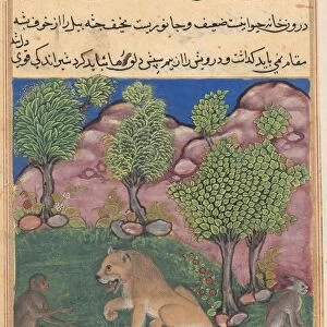 Tuti-Nama (Tales of a Parrot): Tale XXVIII: The Monkey Advises the Suspicious Lion