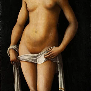 Venus. Artist: Costa, Lorenzo (1460-1535)